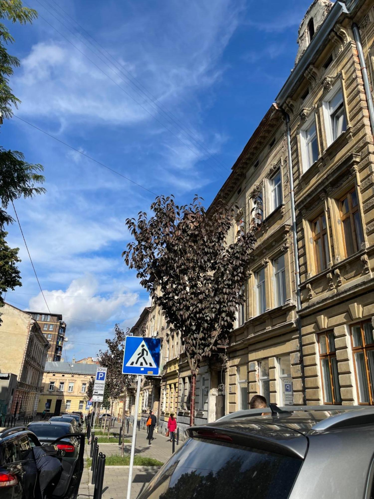 Vintage Apartment Kotlyarska10 Lviv Exterior photo